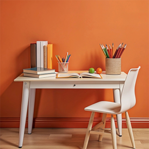 Computer & Study Desk