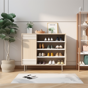 Shoes Cabinets