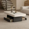 Aavelle Dual-Storage Coffee Table